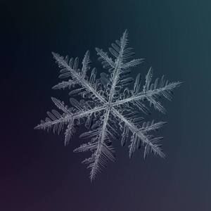 Meet your Posher, Jen